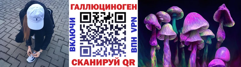 кракен ONION  как найти наркотики  Дальнегорск  Галлюциногенные грибы MAGIC MUSHROOMS 