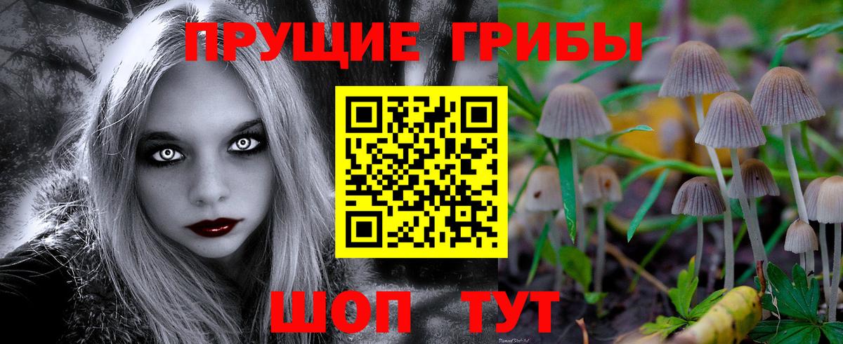Дальнегорск  Псилоцибиновые грибы Cubensis  Псилоцибиновые грибы Magic Shrooms  Вход с VPN 