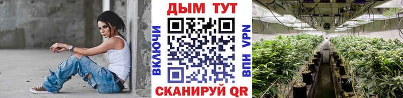 где можно купить Дальнегорск KRAKEN как войти МАРИХУАНА тримм
